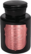Духи, Парфюмерия, косметика Ароматическая свеча в банке - Paddywax Apothecary Noir Candle Saffron Rose