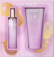 Духи, Парфюмерия, косметика Caudalie Ange Des Vignes - Набор (edp/50ml + sh/gel/200ml)