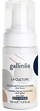 Парфумерія, косметика Очищувальна пінка для обличчя - Gallinee Foaming Facial Cleanser