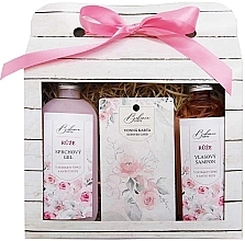 Парфумерія, косметика Набір - Bohemia Gifts Natur Rose (sh/gel/100ml + shmp/100ml + card)