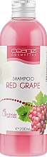 Парфумерія, косметика Шампунь - Ceano Cosmetics Shampoo