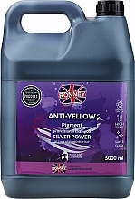 Шампунь для волос - Ronney Professional Anti-Yellow Pigment Silver Power Shampoo — фото N4
