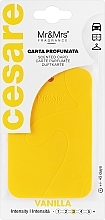 Духи, Парфюмерия, косметика Mr&Mrs Fragrance Cesare Scented Card Yellow Vanilla - Ароматическое саше