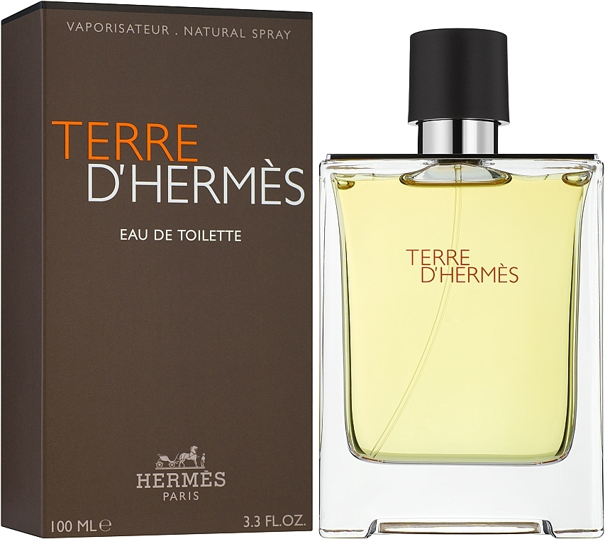 Hermes Terre dHermes - Туалетна вода — фото N2