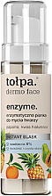 Пінка для вмивання обличчя - Tolpa Dermo Face — фото N1