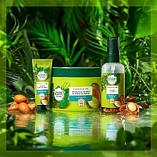 Маска для волосся "Відновлення" - Herbal Essences Repair & Renew Argan Oil Intensive Hair Mask — фото N7