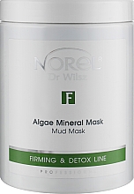 Парфумерія, косметика Мінеральна грязьова маска з водоростями - Norel Alga Mineral Mask