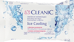 Освіжальні серветки, 15 шт. - Cleanic Ice Cooling Wipes — фото N1