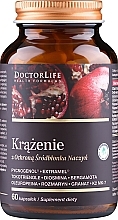 Диетическая добавка для защиты сосудов, 60 шт - Doctor Life Krążenie — фото N1