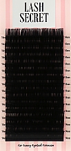 Парфумерія, косметика Накладні вії, чорні, 16 ліній (один розмір, 0,05, D, 14) - Lash Secret