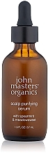 Духи, Парфюмерия, косметика Очищающая сыворотка для кожи головы - John Masters Organics Scalp Purifying Serum