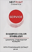 Шампунь стабилизатор цвета - Nextpoint Cosmetics Service Color Stabilizer Shampoo (пробник) — фото N1