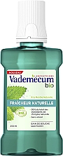 Духи, Парфюмерия, косметика Ополаскиватель для полости рта - Vademecum Organic Natural Fresh Mint Mouthwash