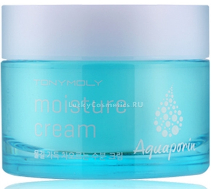 Увлажняющий крем с аквапоринами - Tony Moly Aquaporin Moisture Cream (пробник)