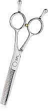 Ножницы филировочные - SPL Professional Hairdressing Scissors 91526-26 — фото N1