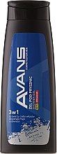 Духи, Парфюмерия, косметика Гель для душа 3в1 - Avans Regular 3in1 Shower Gel Men (250 ml)