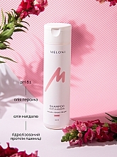 Шампунь для глибокого очищення - Meloni Deep Cleansing Shampoo pH8.1 — фото N3