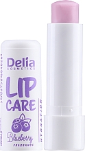 Гигиеническая помада - Delia Lip Care Blueberry — фото N1