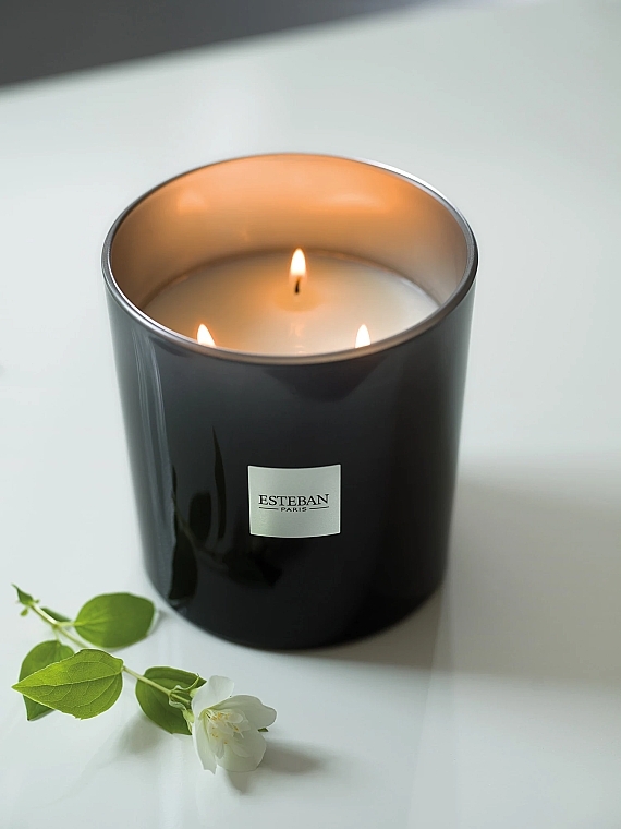 Esteban Figue Noire Refillable Scented Candle - Парфумована свічка — фото N4