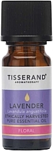 Эфирное масло лаванды - Tisserand Aromatherapy Ethically Harvested Pure Essential Oil Lavender  — фото N1