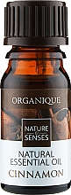 Духи, Парфюмерия, косметика Эфирное масло "Корица" - Organique Natural Essential Oil Cinnamon