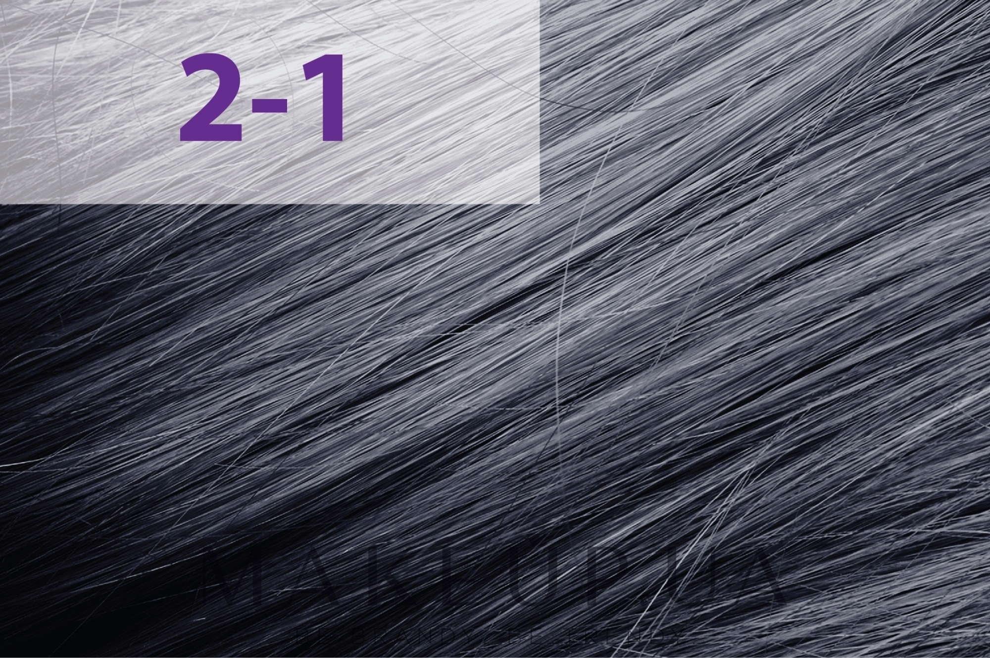 Стойкая профессиональная крем-краска для волос - jNOWA Professional Siena Chromatic Save — фото 2/1 - Сине-черный