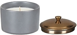 Ароматическая свеча "Ветивер и кардамон" - Paddywax Hygge Ceramic Candle Grey Vetiver & Cardamom — фото N2