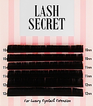 Накладні вії, чорні, мікс, 6 ліній (0.05, D, (10,11,12)) - Lash Secret — фото N1