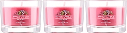 Набір - Yankee Candle Singnature Art in the Park  (3xcandle/37g) — фото N2