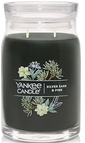 Ароматична свічка в банці "Silver Sage & Pine", 2 ґноти - Yankee Candle Singnature — фото N1