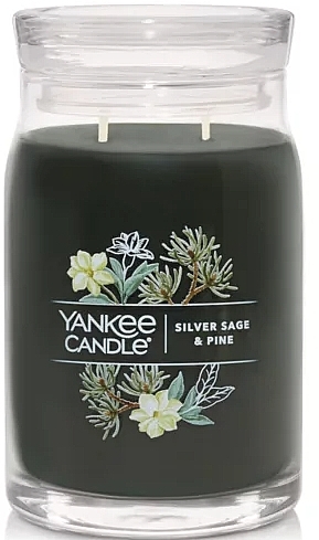 Ароматическая свеча в банке "Silver Sage & Pine", 2 фитиля - Yankee Candle Singnature — фото N1