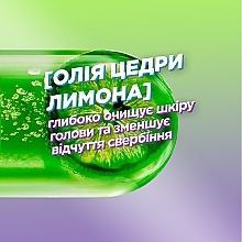 Очищувальний шампунь проти лупи для волосся, схильного до жирності - Garnier Fructis Shampoo Anti-dandruff — фото N4