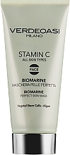 Біоморська маска для ідеальної шкіри обличчя - Verdeoasi Stamin C Biomarine Perfect Skin Mask — фото N1