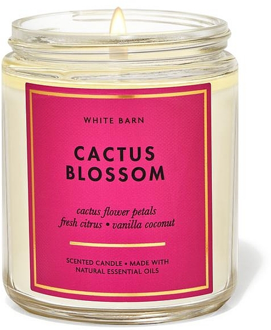 Ароматична свічка - Bath and Body Works Cactus Blossom Single Wick Candle — фото N1