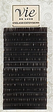 Ресницы в ленте тёмный шоколад, B 0,1/11 - Vie de Luxe — фото N1