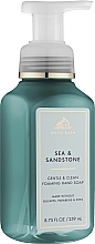 Парфумерія, косметика Мило-піна для рук - Bath and Body Works Sea & Sandstone Gentle & Clean Foaming Hand Soap