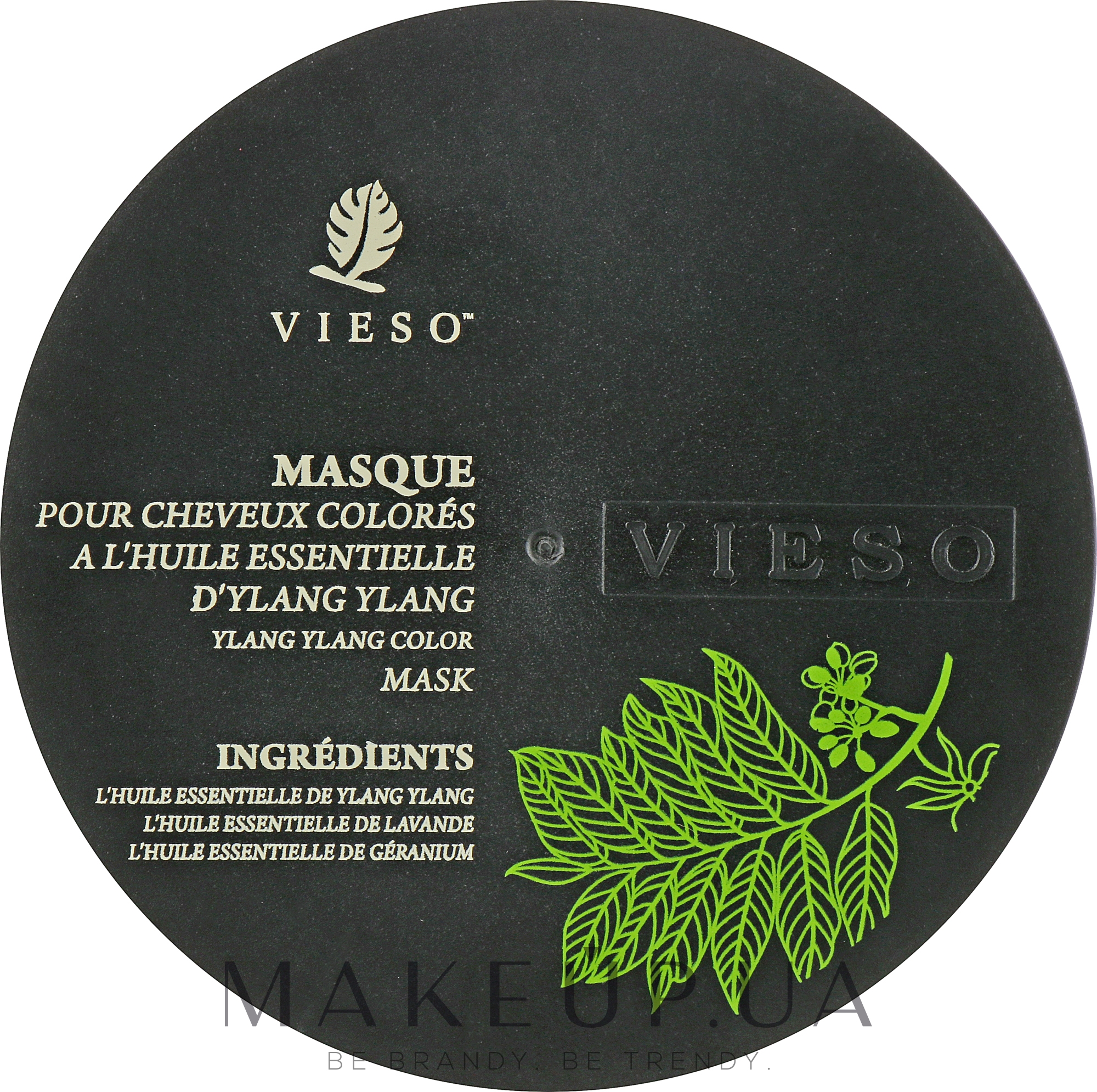 Маска для окрашенных волос с иланг илангом - Vieso Ylang Ylang Essence Color Hair Mask — фото 350g