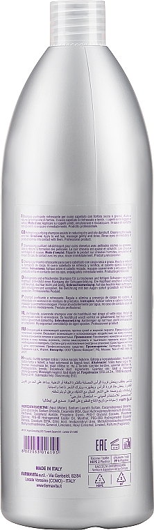 Шампунь проти лупи - Farmavita Amethyste Purify Dandruff Control Shampoo — фото N3