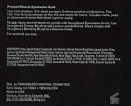 Компактные минеральные тени - Youngblood Pressed Mineral Eyeshadow Quad — фото N4