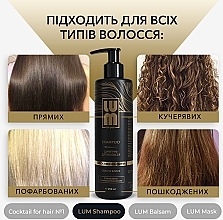 Набір "Професійний догляд за волоссям" - LUM (shm/250ml + h/balm/250ml + h/mask/200ml + hair/coc/50ml) — фото N8