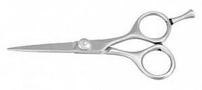 Ножиці перукарські - Bifull Scissors Bacic 4" — фото N1