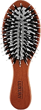 Парфумерія, косметика Масажна щітка для волосся, HB-03-22, коричнева - Beauty LUXURY