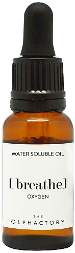 Ароматическое, водорастворимое масло "Oxygen" - Ambientair The Olphactory Water Soluble Oil — фото N1