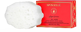 Пінна багаторазова губка для ніг - Spongelle Sugar Dahlia Pedi-Buffer With Built-In Cleanser — фото N1