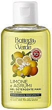 Водно-спиртовой гель для очищения рук - Bottega Verde Limone e Agrumi Hand Cleansing Gel — фото N1