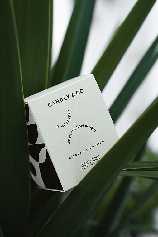 Ароматична свічка - Candly & Co No.3 Candle It Will Happen When The Time Is Right Citrus Cinnamon — фото N2