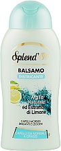 Бальзам для волосся "Глина і лимон" - Splend'Or Hair Balm — фото N1