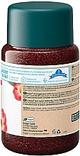 Сіль для ванни - Kneipp Back Comfort Devil´s Claw Bath Salt — фото N2