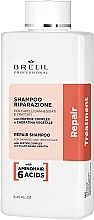 Відновлювальний шампунь для волосся - Brelil Repair Treatment Repair Shampoo — фото N1