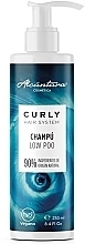 Шампунь для в'юнкого волосся - Alcantara Cosmetica Curly Hair System Shampoo — фото N1